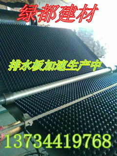 海南綠都建材排水板廠家直銷(xiāo) 規(guī)格齊全，高清圖片展示