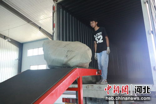 河北高碑店箱包產(chǎn)業(yè)年銷(xiāo)售額超30億元